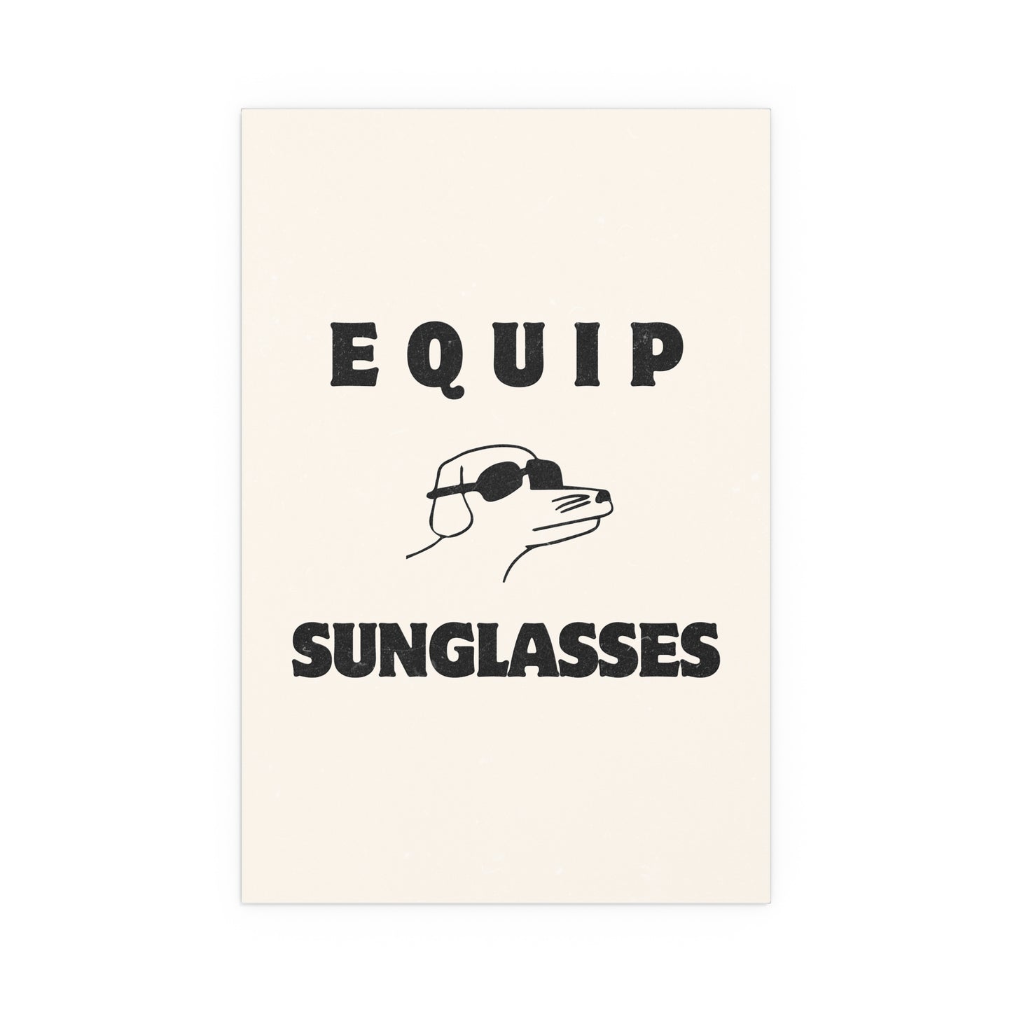 Hot Mulligan x Modern Baseball - Equip Sunglasses